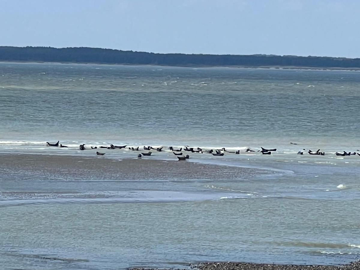 Villa Saint Jacques, Appart La Mer Le Tréport Eksteriør bilde